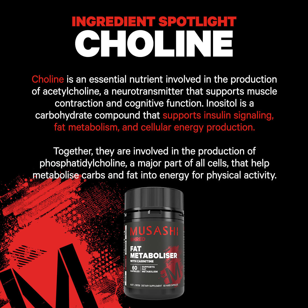 Musashi Fat Metaboliser with Carnitine Ingredient Spotlight