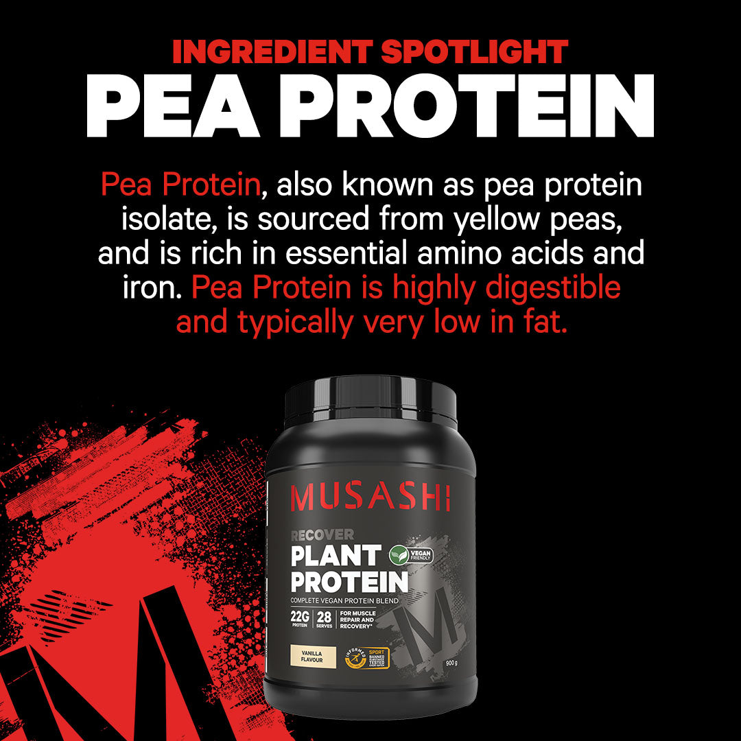 Musashi Protein Powder Plant Protein Powder