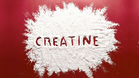 Creatine Side Effects, Safety & Digestive Health