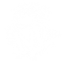 REPRESENT MUSASHI NUTRITION