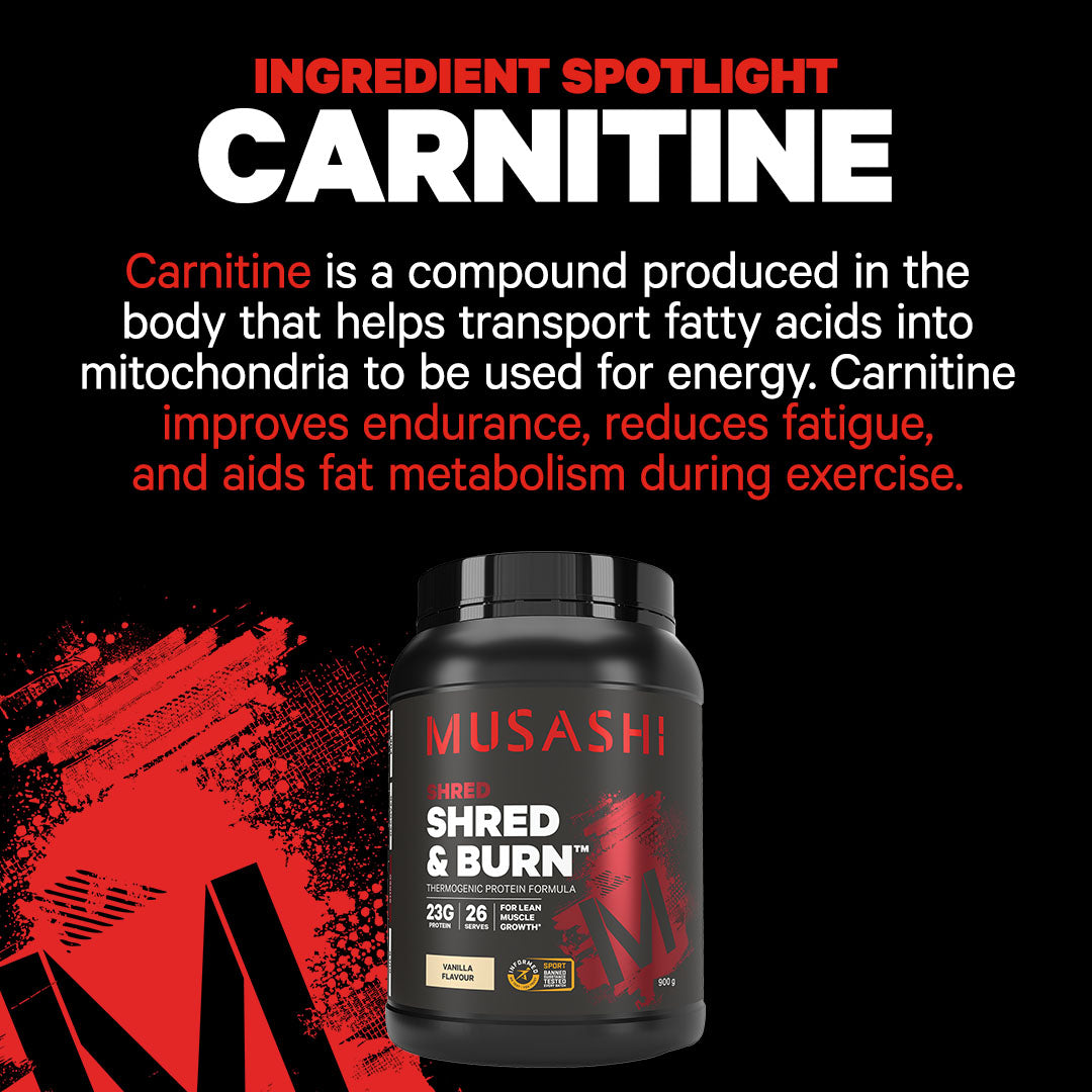 Musashi Shred & Burn Protein Powder Ingredient Spotlight