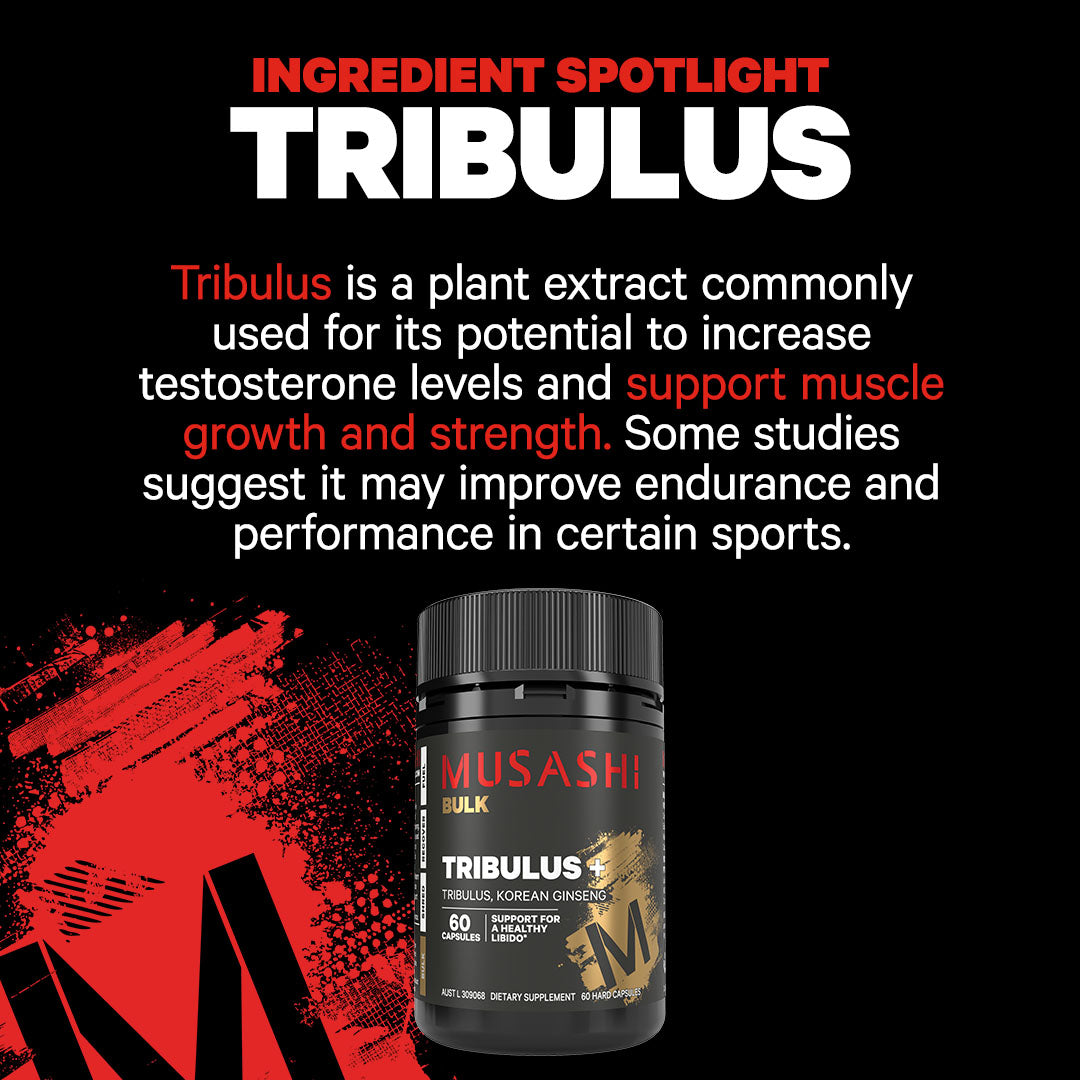 Musashi Tribulus+ Ingredient Spotlight