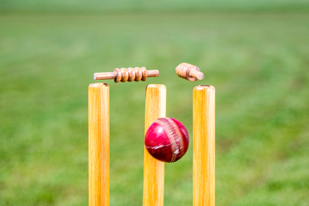 musashi-cricket-off-season